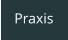 Praxis